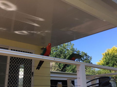 The Best Exotic Magnolia Cottage - Accommodation Tasmania 11