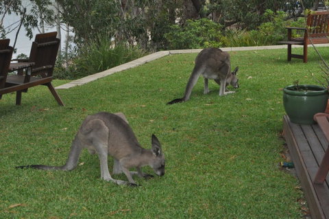By The Beach B&B Self Contained Apartments - Accommodation Tasmania 28