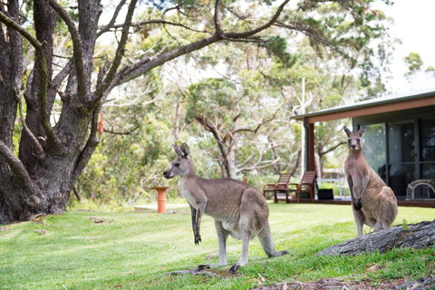 By The Beach B&B Self Contained Apartments - Accommodation Tasmania 17