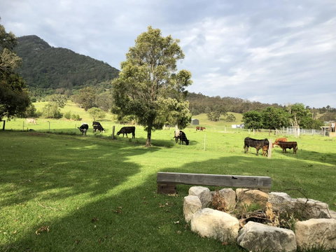 Arcadia - The Barn Cottage & Rosehill Cottage - Accommodation Tasmania 29