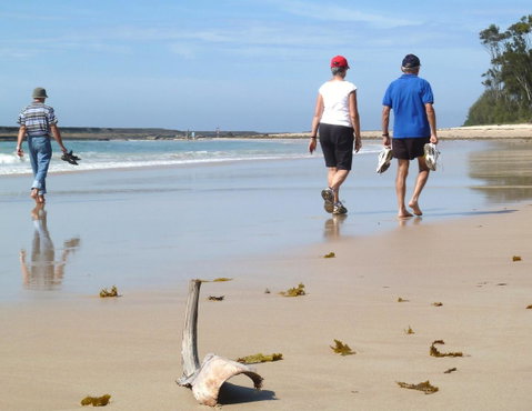 Mollymook Surfbeach Motel & Apartments - Accommodation Tasmania 13