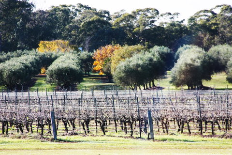Adina Vineyard - Accommodation Tasmania 15