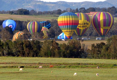 Adina Vineyard - Accommodation Tasmania 9