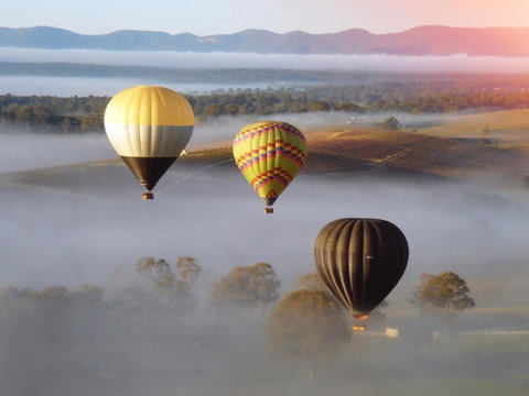 Adina Vineyard - Accommodation Tasmania 21