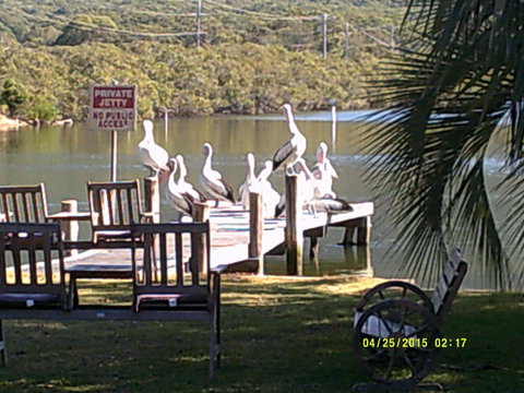 Pelican H2O One & Two Bedroom Apartments - Accommodation Tasmania 9