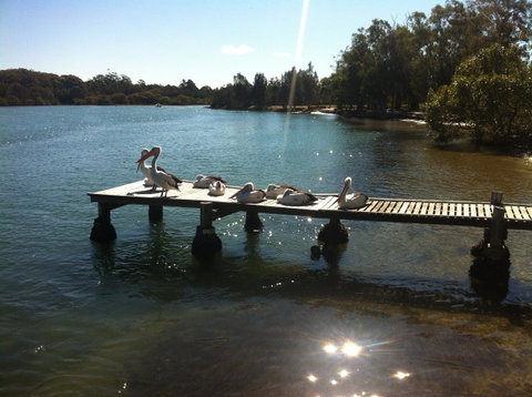 Pelican H2O One & Two Bedroom Apartments - Accommodation Tasmania 5
