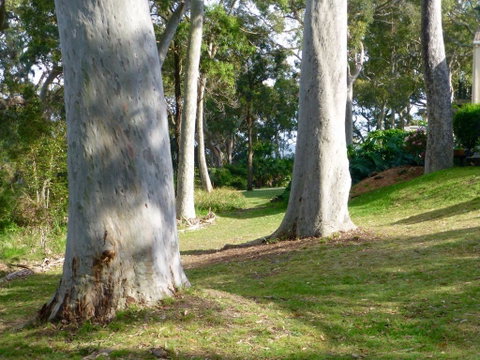 The Retreat At Palm Beach - Accommodation Tasmania 4