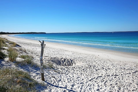 Sandy Toes Beach House Jervis Bay - 2min To Beach - Accommodation Tasmania 22