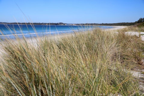 Sandy Toes Beach House Jervis Bay - 2min To Beach - Accommodation Tasmania 23