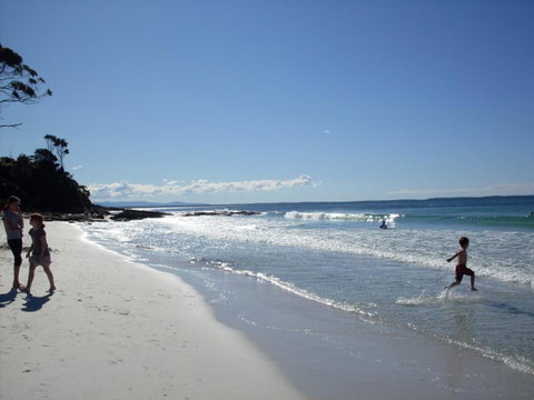 Bush & Bay Cottage - Accommodation Tasmania 25