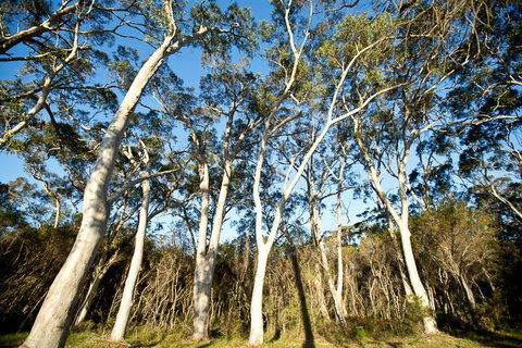 Bush & Bay Cottage - Accommodation Tasmania 28