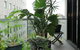Urban Loft Close To Sydney Hot Spots - thumb 11