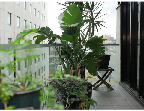 Urban Loft Close To Sydney Hot Spots - Accommodation Tasmania 11