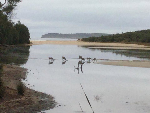 Rocketz At Berrara Beach - Accommodation Tasmania 3