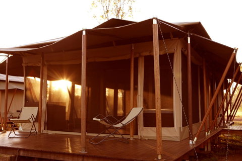 Wildman Wilderness Lodge - Accommodation Tasmania 6