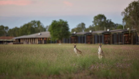 Wildman Wilderness Lodge - Accommodation Tasmania 0