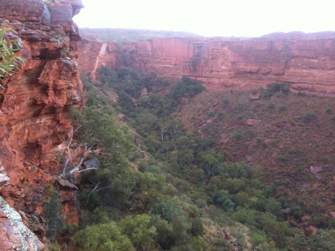 Discovery Resorts - Kings Canyon - Accommodation Tasmania 34