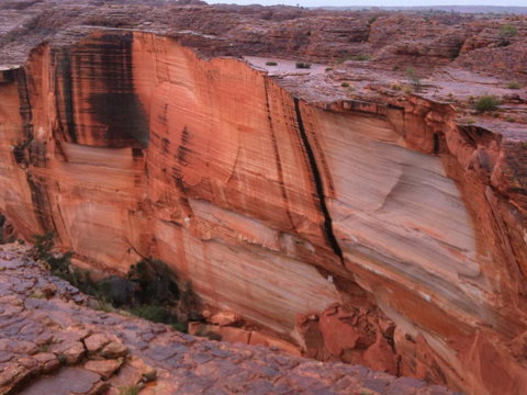 Discovery Resorts - Kings Canyon - Accommodation Tasmania 36