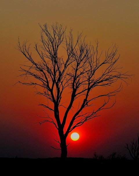 Discovery Resorts - Kings Canyon - Accommodation Tasmania 43