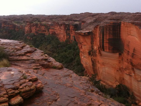 Discovery Resorts - Kings Canyon - Accommodation Tasmania 35