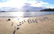 Corrigans Cove - thumb 2