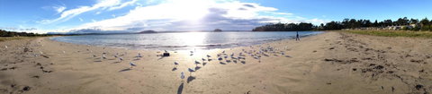 Corrigans Cove - Accommodation Tasmania 2