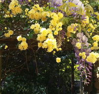 Bowral Road Bed and Breakfast - Accommodation Tasmania