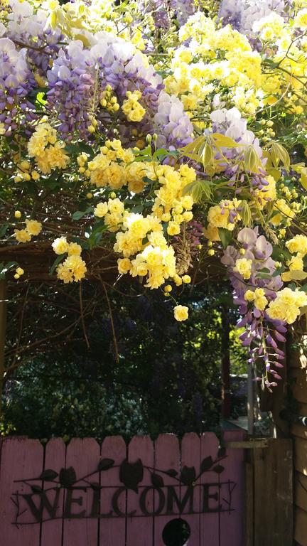 Bowral Road Bed And Breakfast - Accommodation Tasmania 0