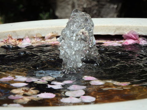 Bowral Road Bed And Breakfast - Accommodation Tasmania 2