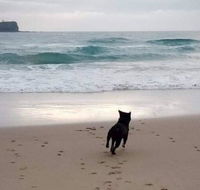 Breakers at Mudjimba Beach - Accommodation Tasmania