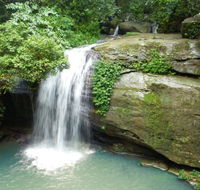 Buderim Forest Hideaway - Accommodation Tasmania