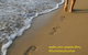 Byron Beach Cabin - thumb 0