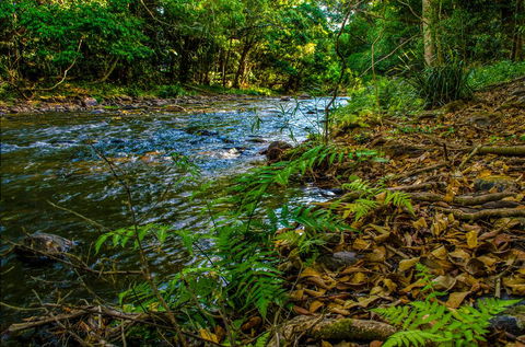 Cairns Homestead: A Peaceful Getaway - Accommodation Tasmania 3
