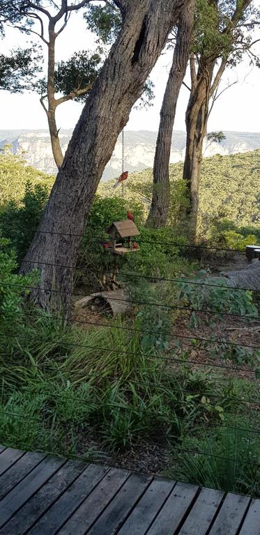 Canyon Cottage - Accommodation Tasmania 3
