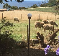 Cape View B and B - Accommodation Tasmania