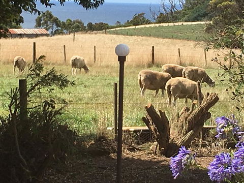 Cape View B And B - Accommodation Tasmania 0