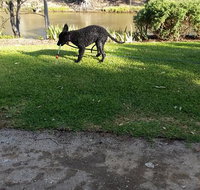 Captain's Cottage Bed  Breakfast - Accommodation Tasmania