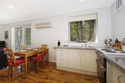 Cedar 6 - Fully Renovated Apartment - Accommodation Tasmania 0