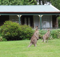 Cedar Lodge Cabins - Accommodation Tasmania