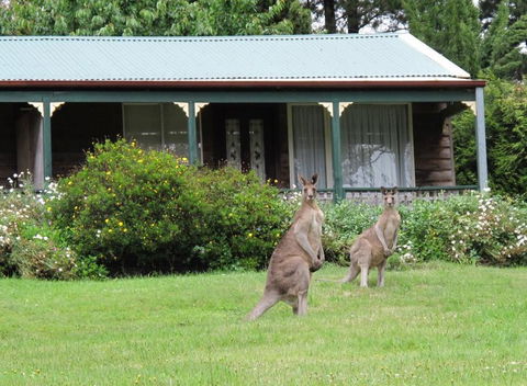 Cedar Lodge Cabins - Accommodation Tasmania 0
