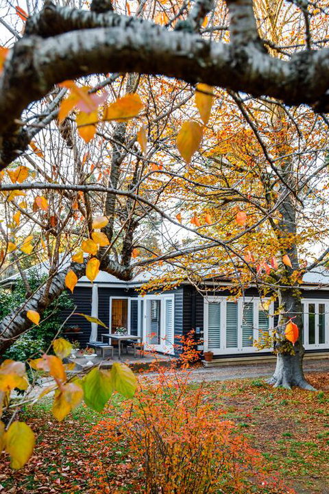 Charming Mountain Cottage - Accommodation Tasmania 3