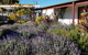 Clunes Motel - thumb 1