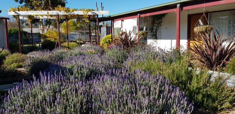Clunes Motel - Accommodation Tasmania 1