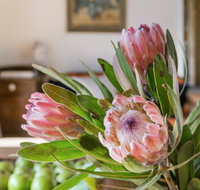 Cooee Cottage - Accommodation Tasmania