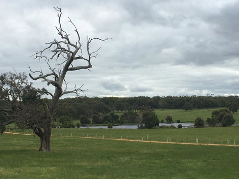 Country Farm House Close To Ballarat - Accommodation Tasmania 1