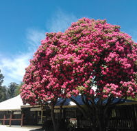 Crossways Country Inn - Accommodation Tasmania