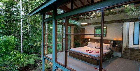 Crystal Creek Rainforest Retreat - Accommodation Tasmania 3