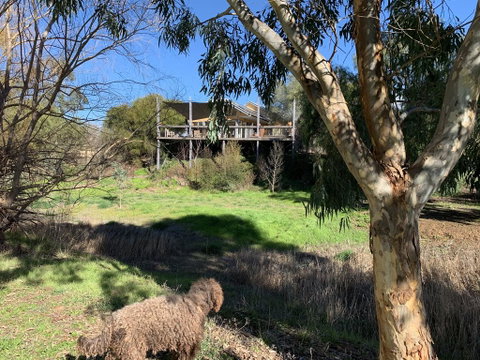 Cullen House - Accommodation Tasmania 1