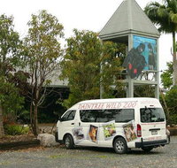 Daintree Wild Bed  Breakfast - Accommodation Tasmania