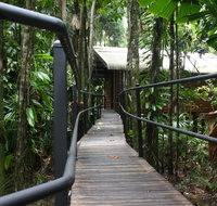 Daintree Wilderness Lodge - Accommodation Tasmania